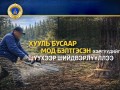 Хууль бусаар мод бэлтгэсэн хэргүүдийг шүүхээр шийдвэрлүүллээ
