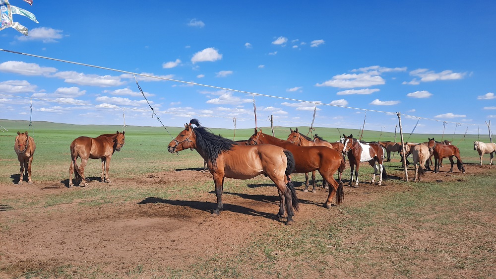 Сүхбаатар, Мөнххаан сум /Дэлгэрцогт хайрхны энгэр/
