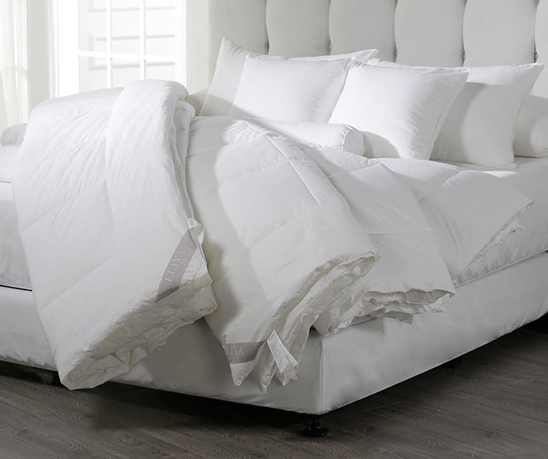 "The Queen's Home"  Утас: 9011-7181