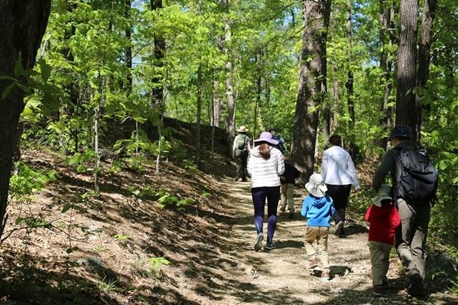 БОГД ХАН УУЛ РУУ ЕРДӨӨ 5 МИНУТ АЛХААД Л ХҮРЭХ БОЛОМЖТОЙ