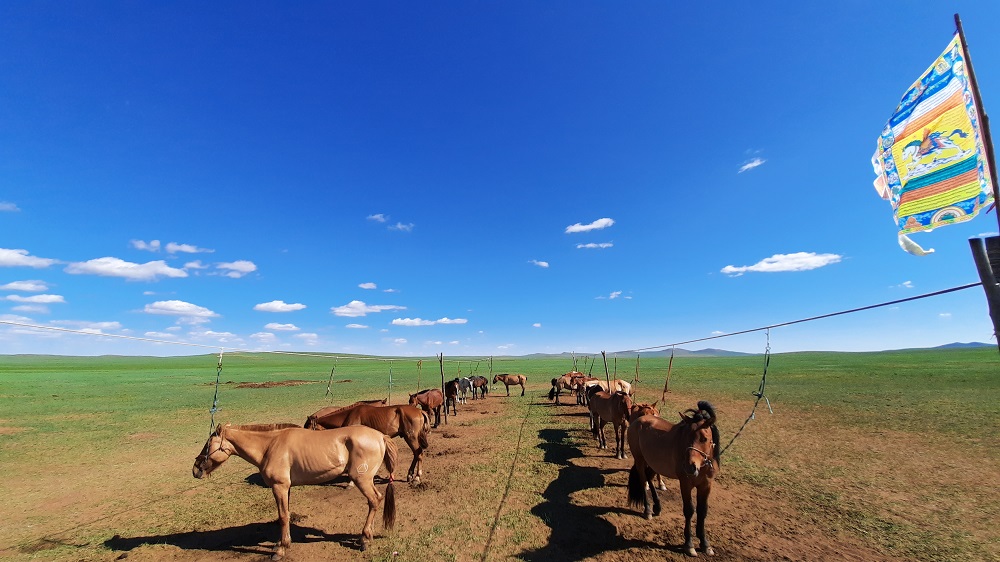 Сүхбаатар аймаг, Мөнххаан сум, Дэлгэрцогт хайрхны энгэр