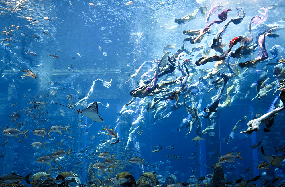 Wu Wei/VCG via Getty Imag