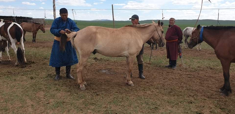 Баруун гар талаас аав А.Амарсанаа, хүү ААУ А.Эрдэнэсүх, бага хүү А.Отгонбаяр