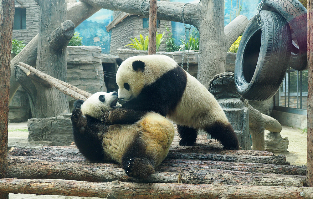 Du Jianbo/VCG via Getty Images