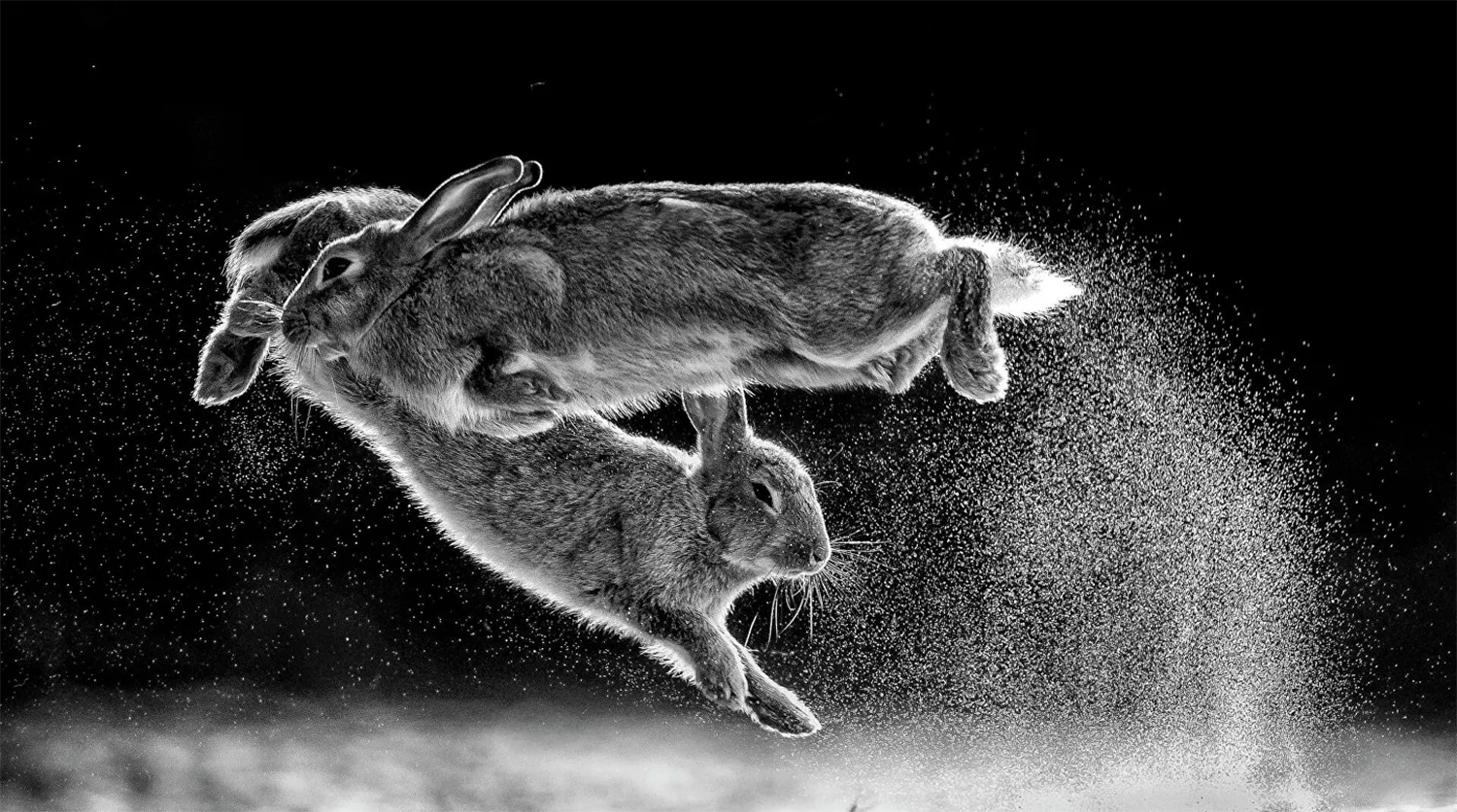 Чаба Дарочи “Харайлт”